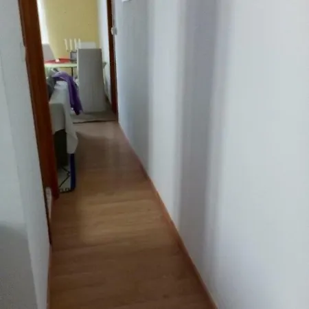 Pepe House 50 * 比戈